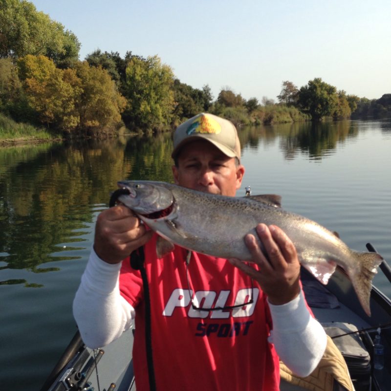 American River Salmon Fishing Oct, 2017