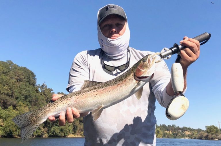 Feather River Steelhead Fishing Report – October 2018